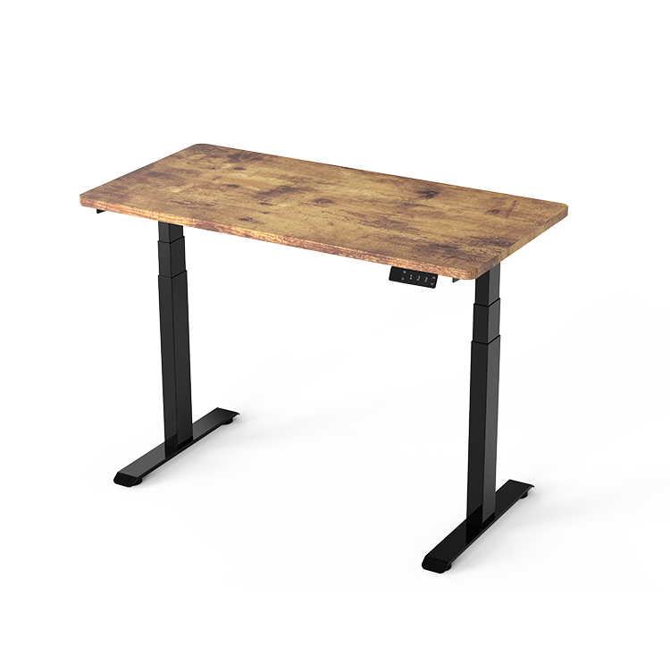 ED11 Dual Motor Standing Desk