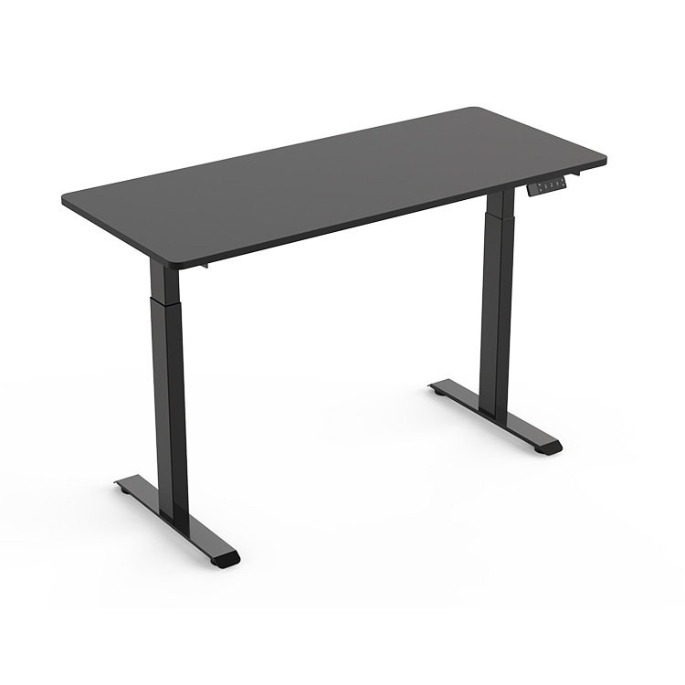 ED9 Dual Motor Standing Desk
