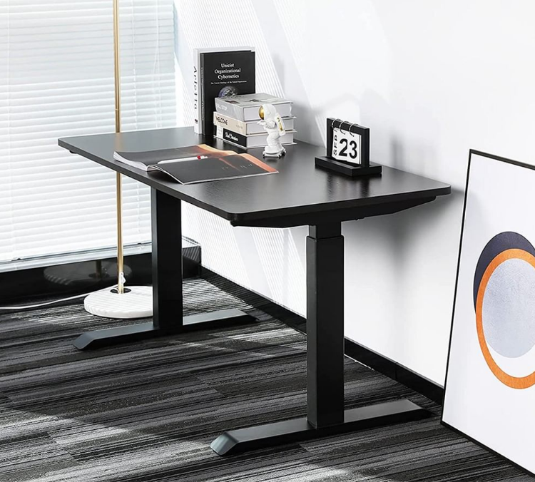ED8 Dual Motor Standing Desk