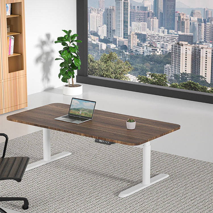 Dual Motor Electric Home Office Laptop Standing Desk